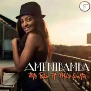 Mr Blue - Amenibamba  Ft Man Walter